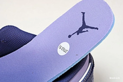 “Covered Jordan Tones” Low 1 Purple 553558-515 0731